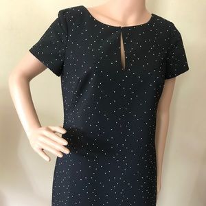 Ann Taylor polka dot dress, BNWT!